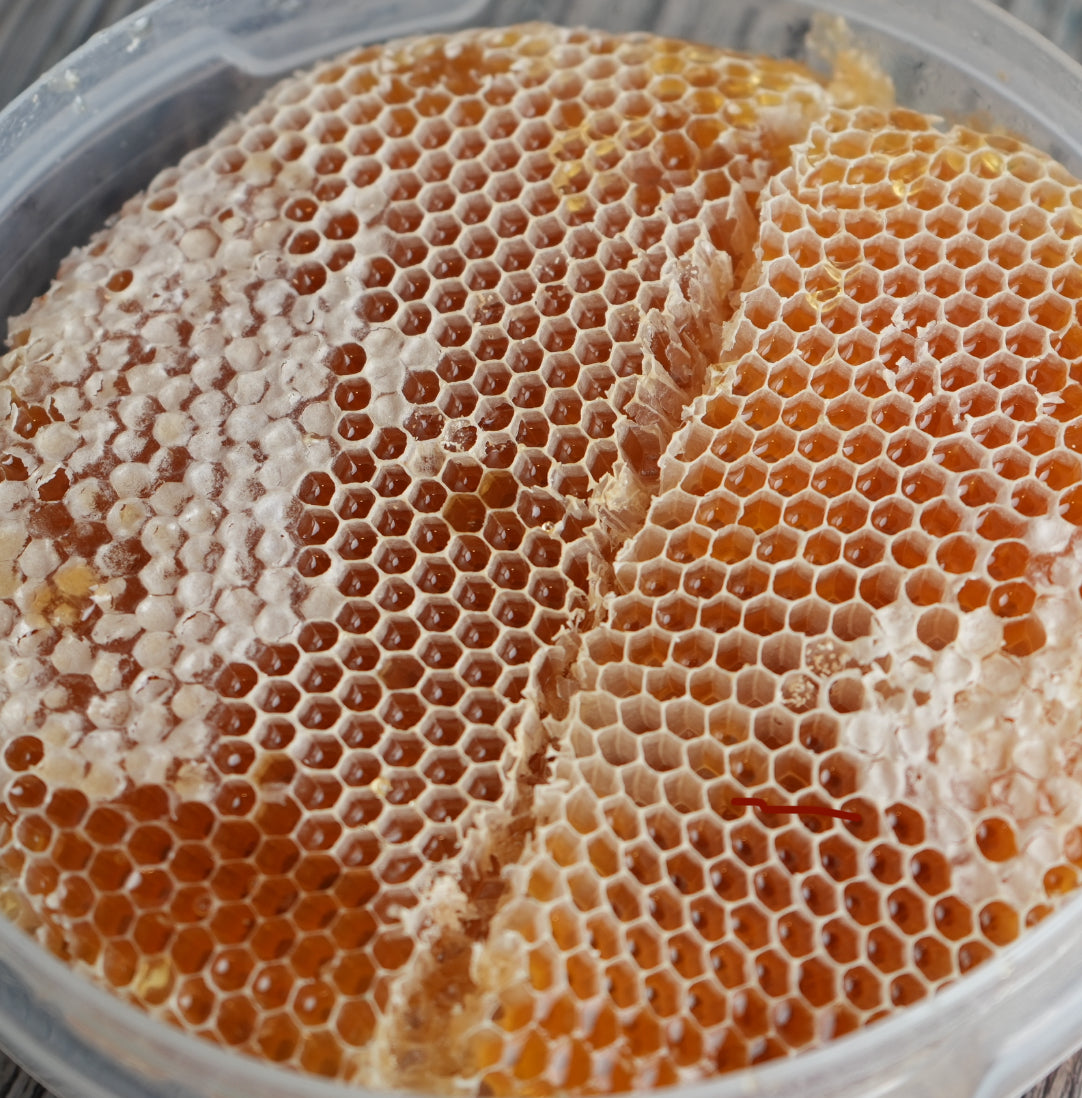 قرف عسل سدر عصيمي بالشمع درجة اولى The best AlAssimi Sidr honey with wax